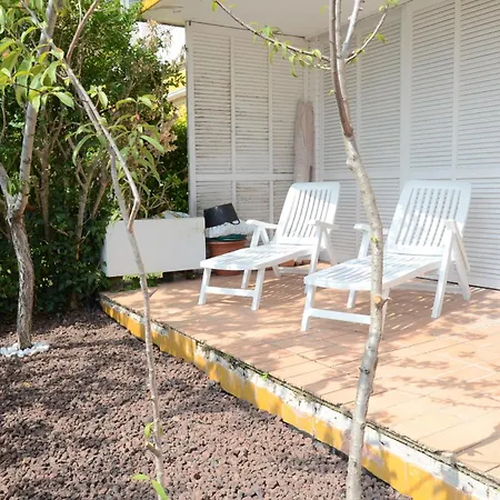 Petunies Appartement Castell-Platja d'Aro